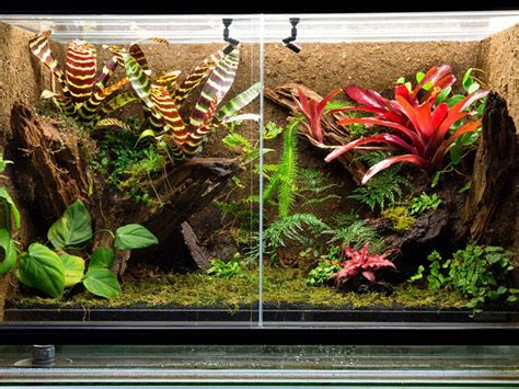 are fake plants for fish safe for reptiles